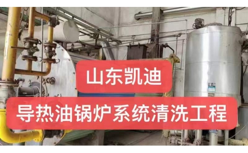 河北唐山30噸導熱油鍋爐系統整體清洗